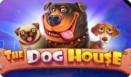 My Empire Casino offre il gioco online The Dog House